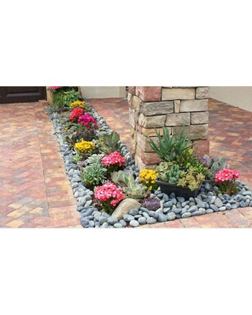 Custom Plant Designs