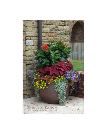 Custom Plant Designs