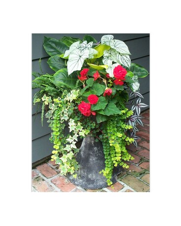 Custom Plant Designs