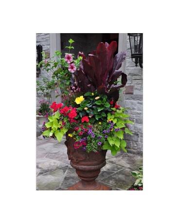 Custom Plant Designs