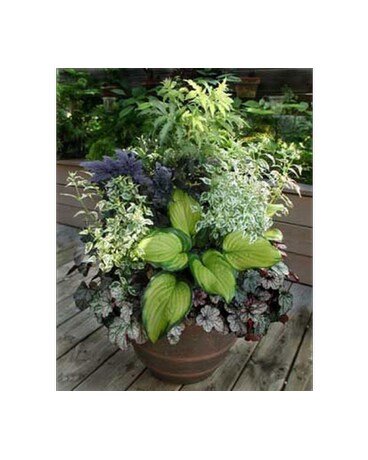 Custom Plant Designs