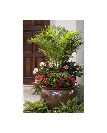 Custom Plant Designs