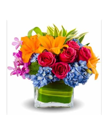 Radiance - Bright Sign In/Centerpiece Flowers