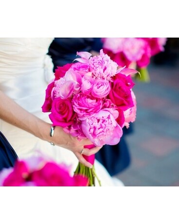 Shades Of Pink