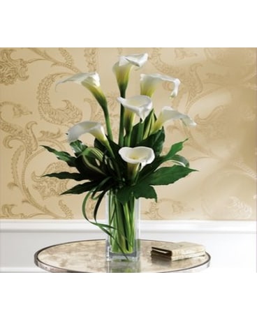 White Callas
