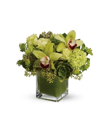 Rainforest Bouquet By Scarlett's Flowers