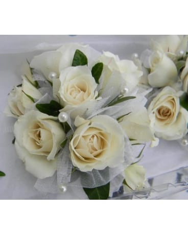 Spray Roses
