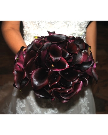 Black Beauty Callas