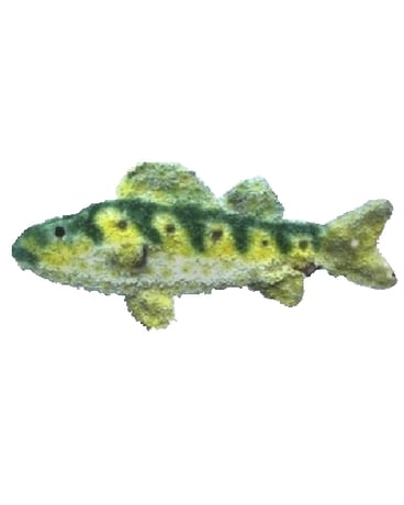 Floral Fish Tribute