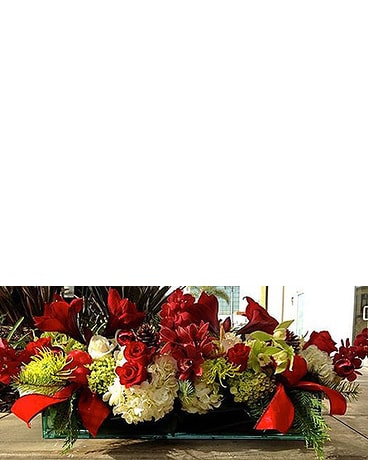 Christmas Arrangement