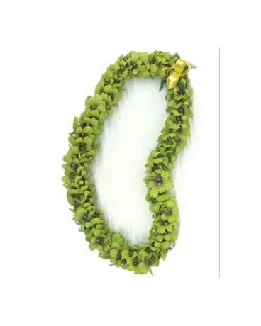 Green Touch Orchid Double Lei #7