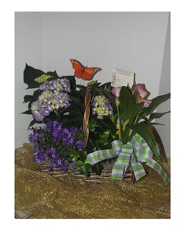 Custom Arrangement