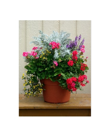 Mixed Planter