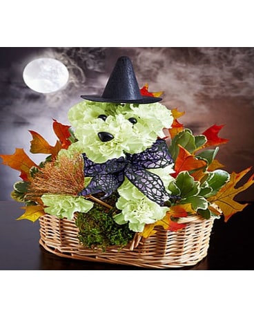 Witchy Pooch