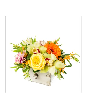 Flower Box