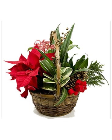 Poinsettia Dish Garden Flower Arrangement