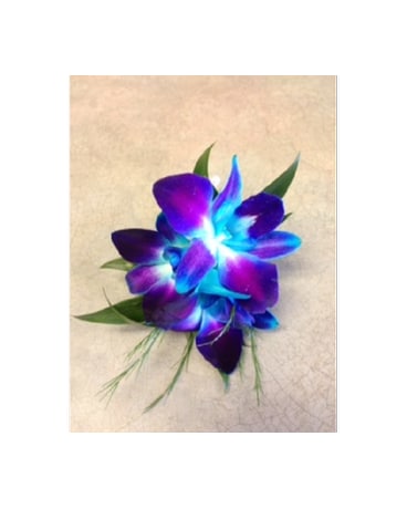 Blue Dendro Orchid Bout