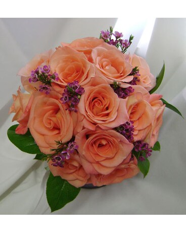 Bridal Showcase