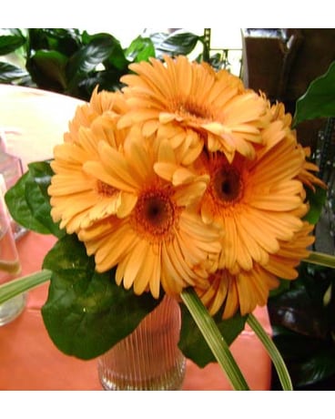 Bridal Showcase 08