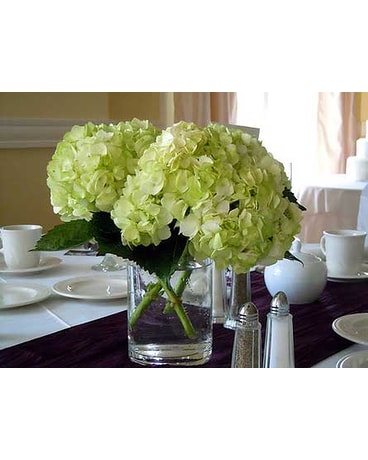 Hydrangea Centerpieces