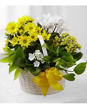 A Bit of Sunshine Basket