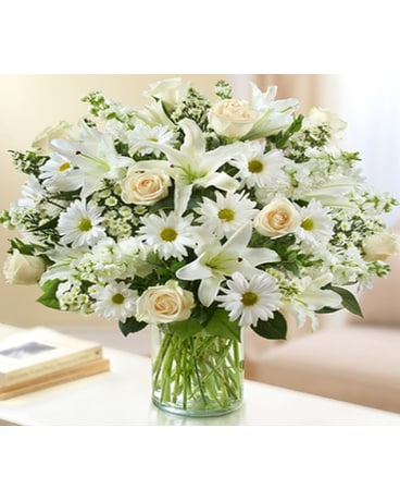 Sincerest Sorrow all white