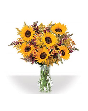 Sunfower Array