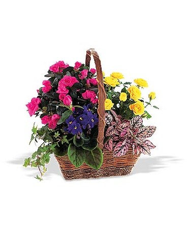 Blooming Garden Basket