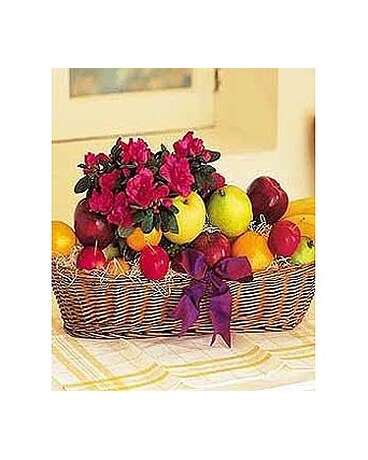 Fruit with Plant
