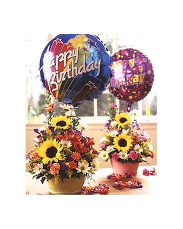 Birthday Blast