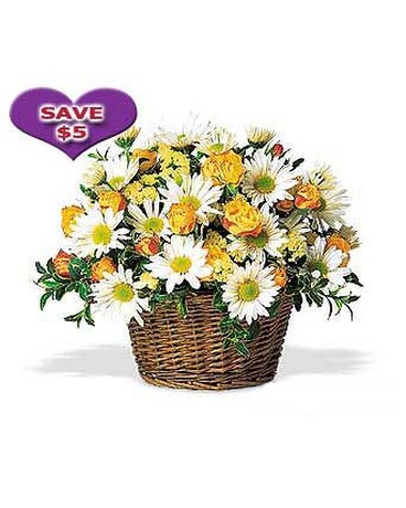 Joyful Roses and Daisies