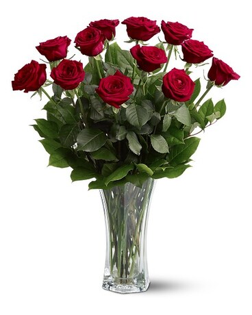 A Dozen Premium Red Roses