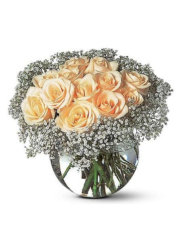 A Dozen White Roses