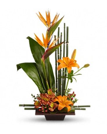 Teleflora's Exotic Grace