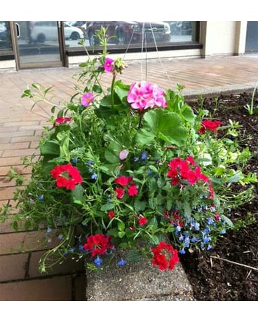Outdoor Hanging Baskets