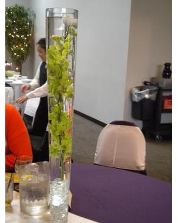 Orchids in a Pilsner