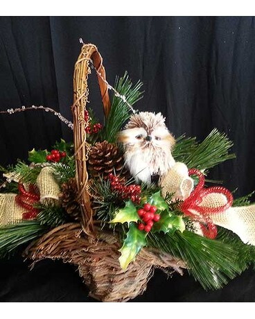 Winter Owl