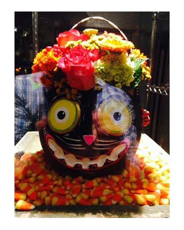 MEOW CANDY Bouquet