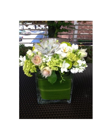FABULOUS WHITE AND GREEN