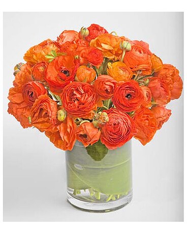 Summer Heat Bouquet