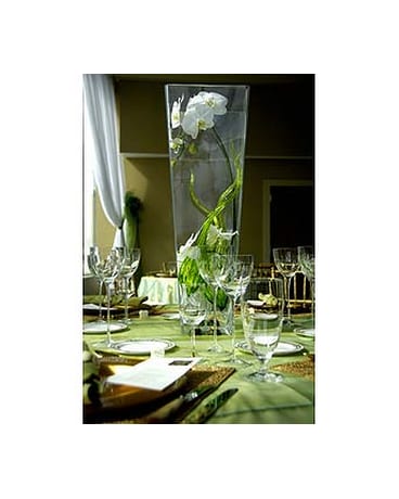 Corporate Events