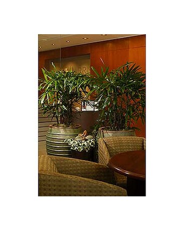 Corporate and Office