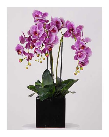 Pink Orchid Box