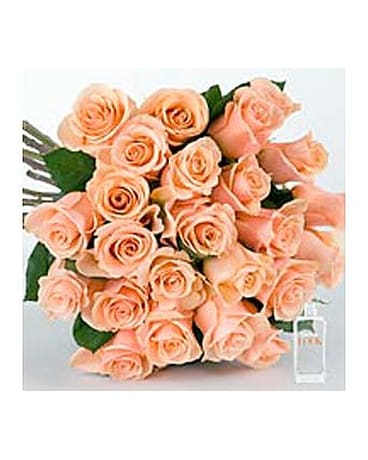 PEACH ROSES