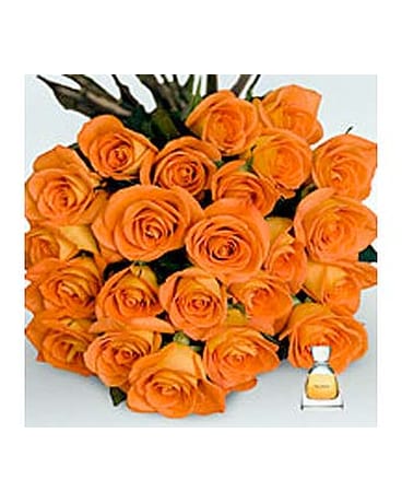 ORANGE ROSES