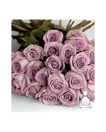PURPLE/LAVENDER ROSES