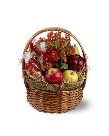 Health Nut Basket