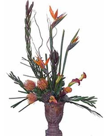 Birds Of Paradise Centerpiece In Raleigh Nc North Florist Paradise Centerpiece In Raleigh Nc