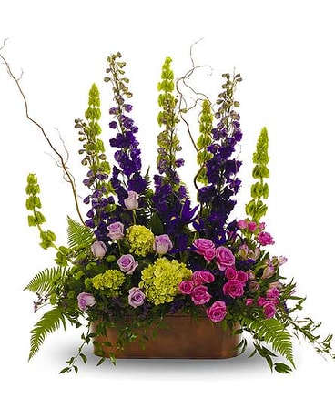 Bold Mix window Box Arrangement