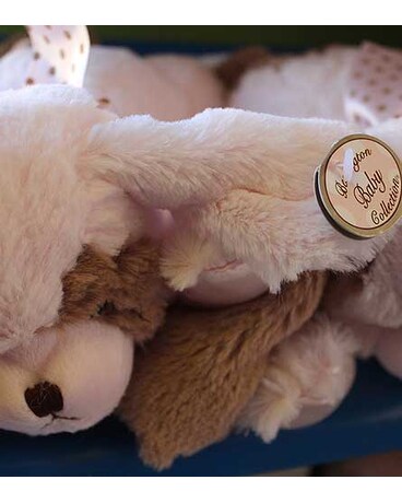 Bearington Baby Collection